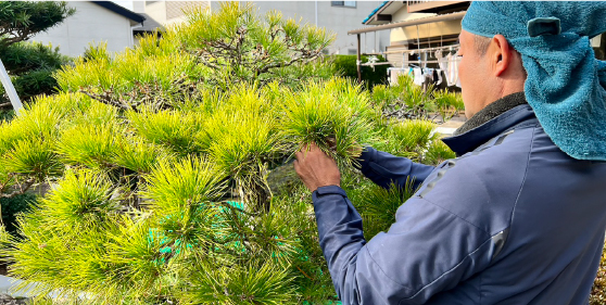 造園・外構・エクステリアの鈴木造園｜静岡県周智郡森町